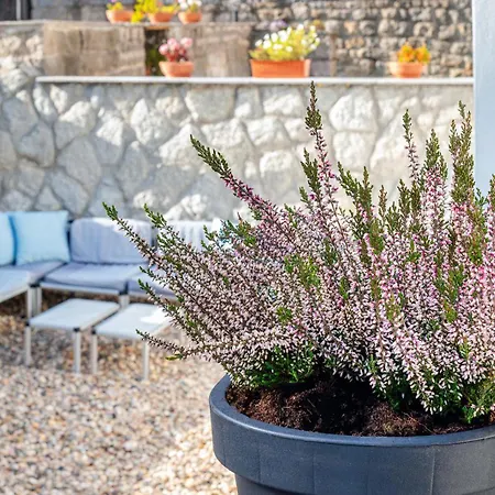 Spa Gorka Szklarska Poreba