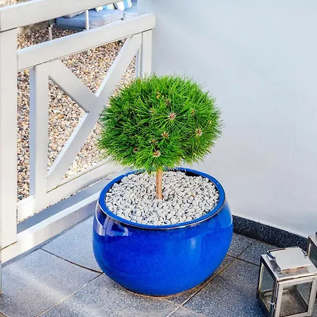 Gorka * シクラルスカ・ポレンバ