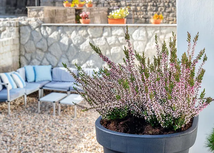 Spa Gorka Szklarska Poreba